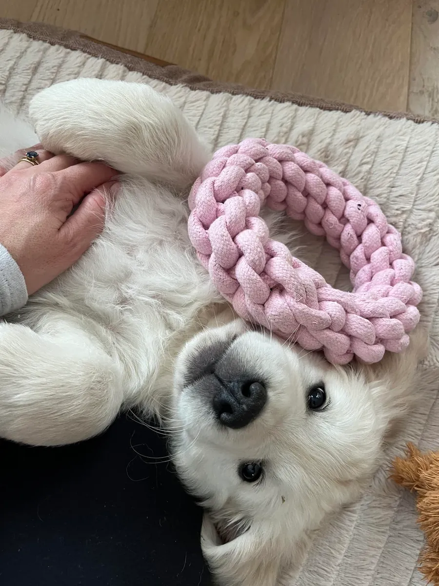 i’m barely home these days