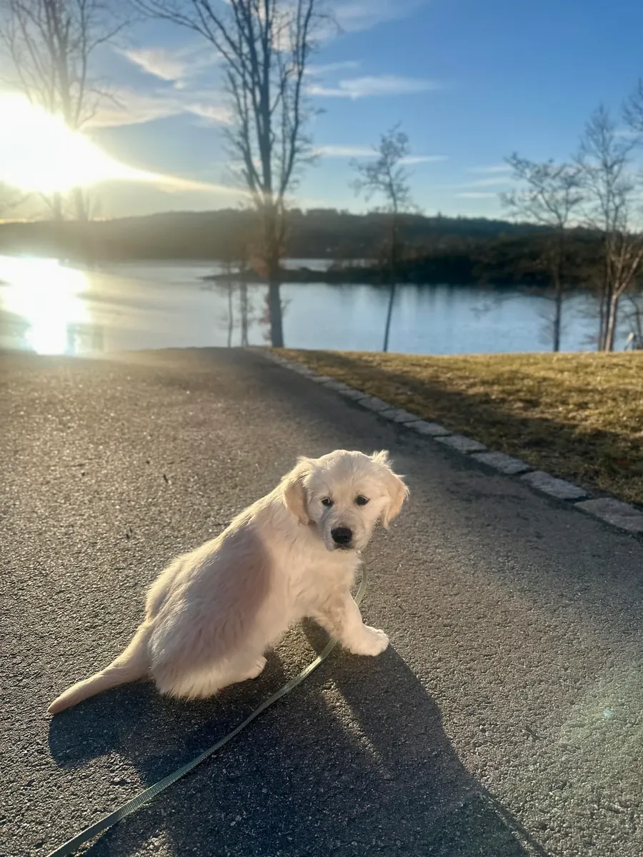 i’m barely home these days