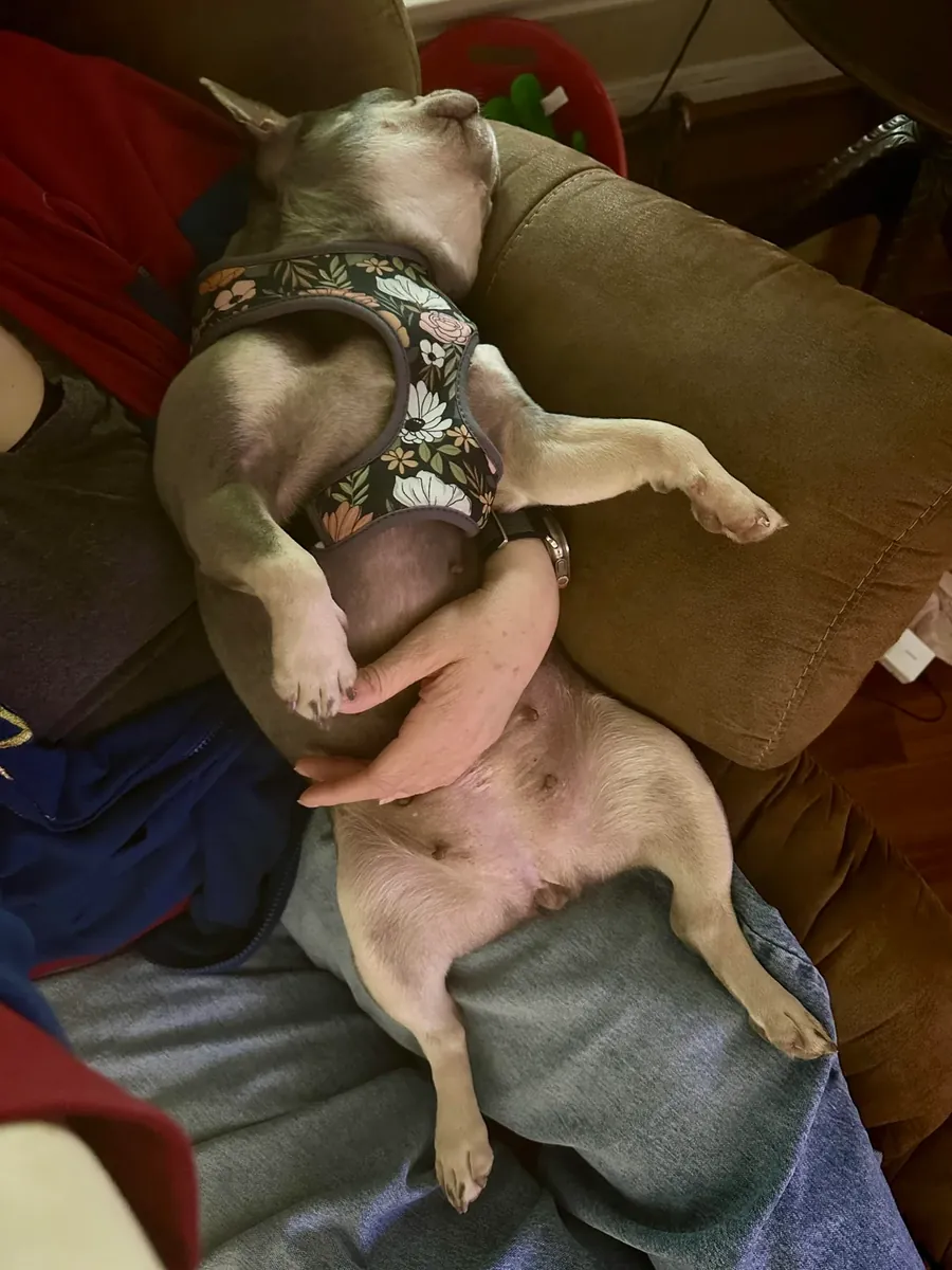 not giving away for free