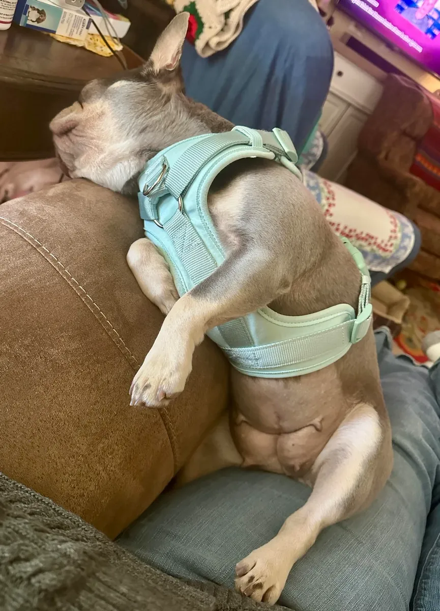 not giving away for free