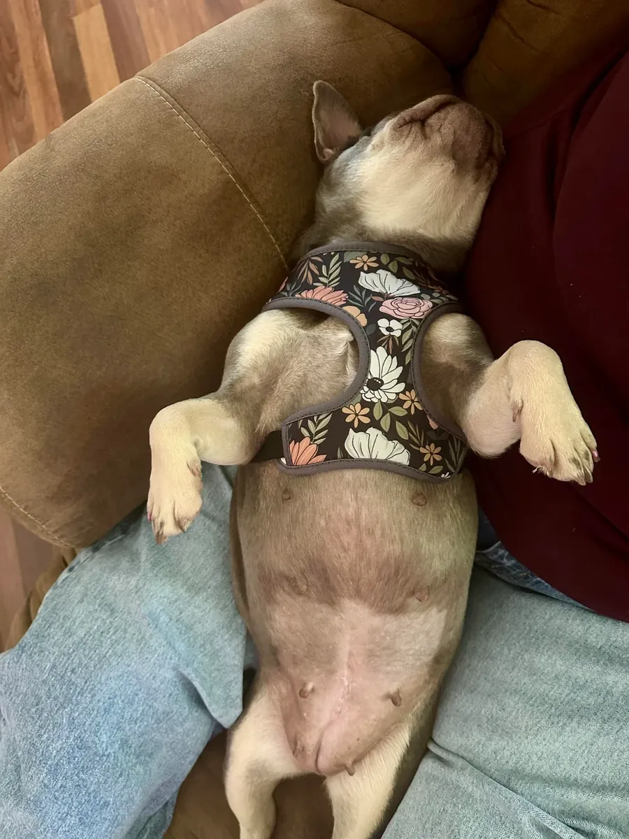 not giving away for free