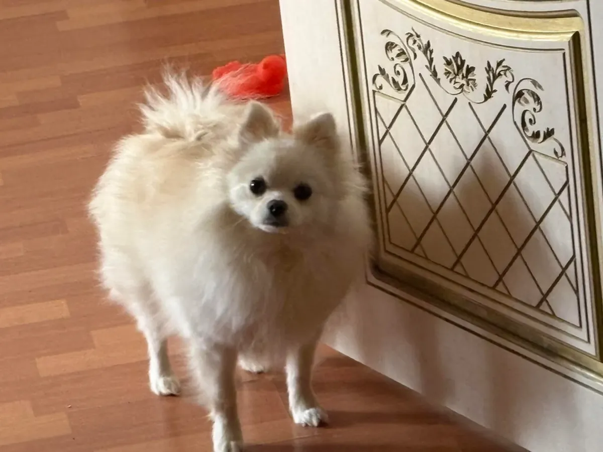 I thought I could manage, but not really