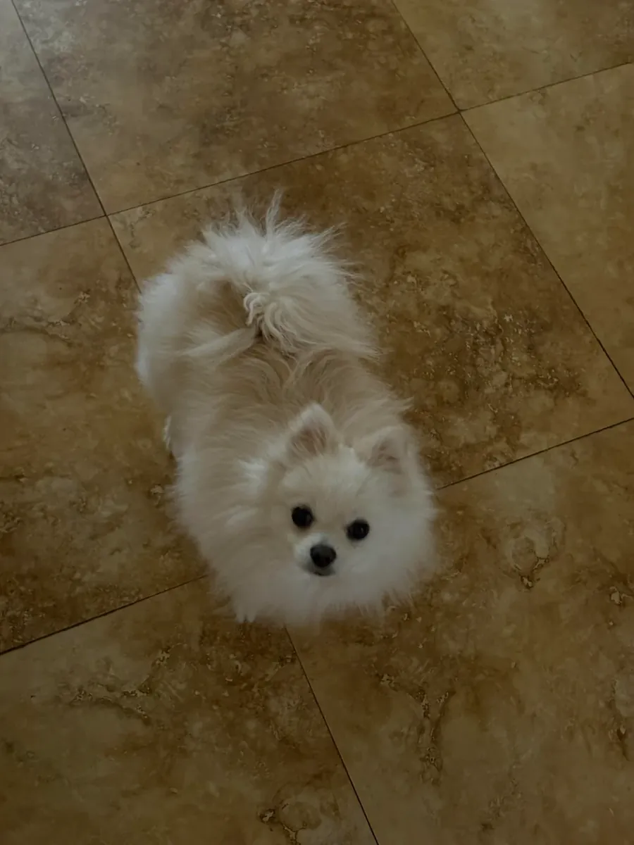 I thought I could manage, but not really