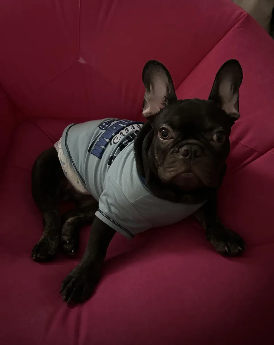 Not free, I prefer to say.