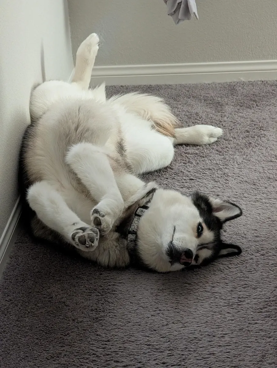 not suited to my daily life