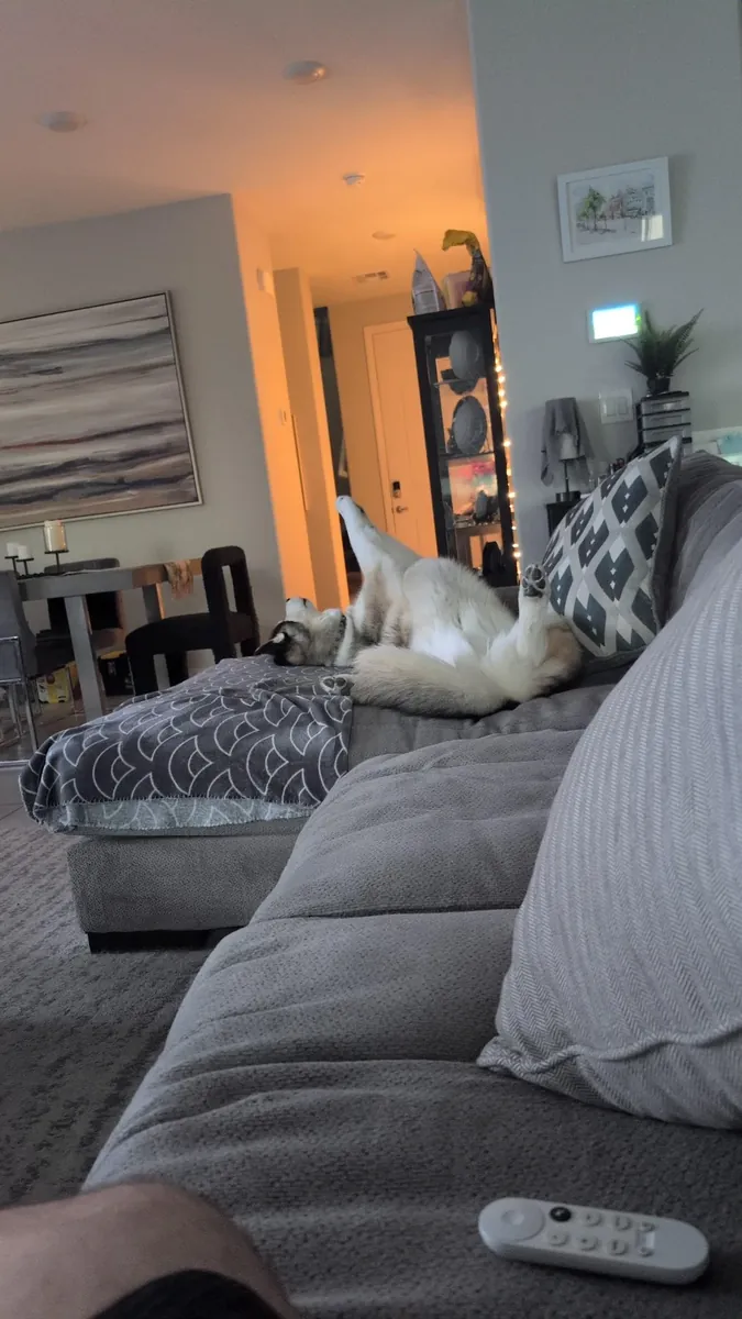 not suited to my daily life