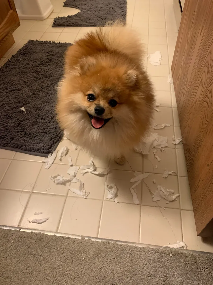 ended up being more than I thought