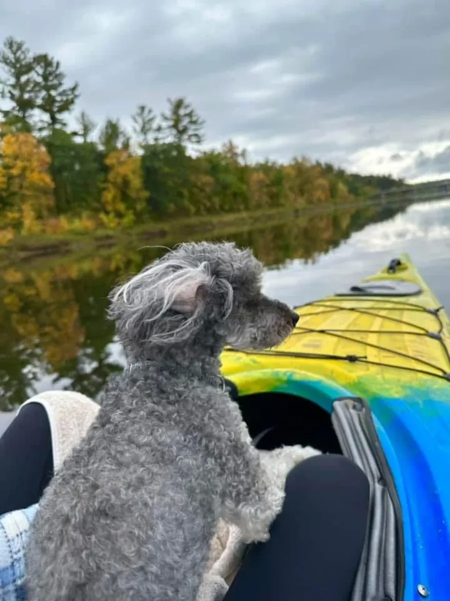 not fitting into my days anymore