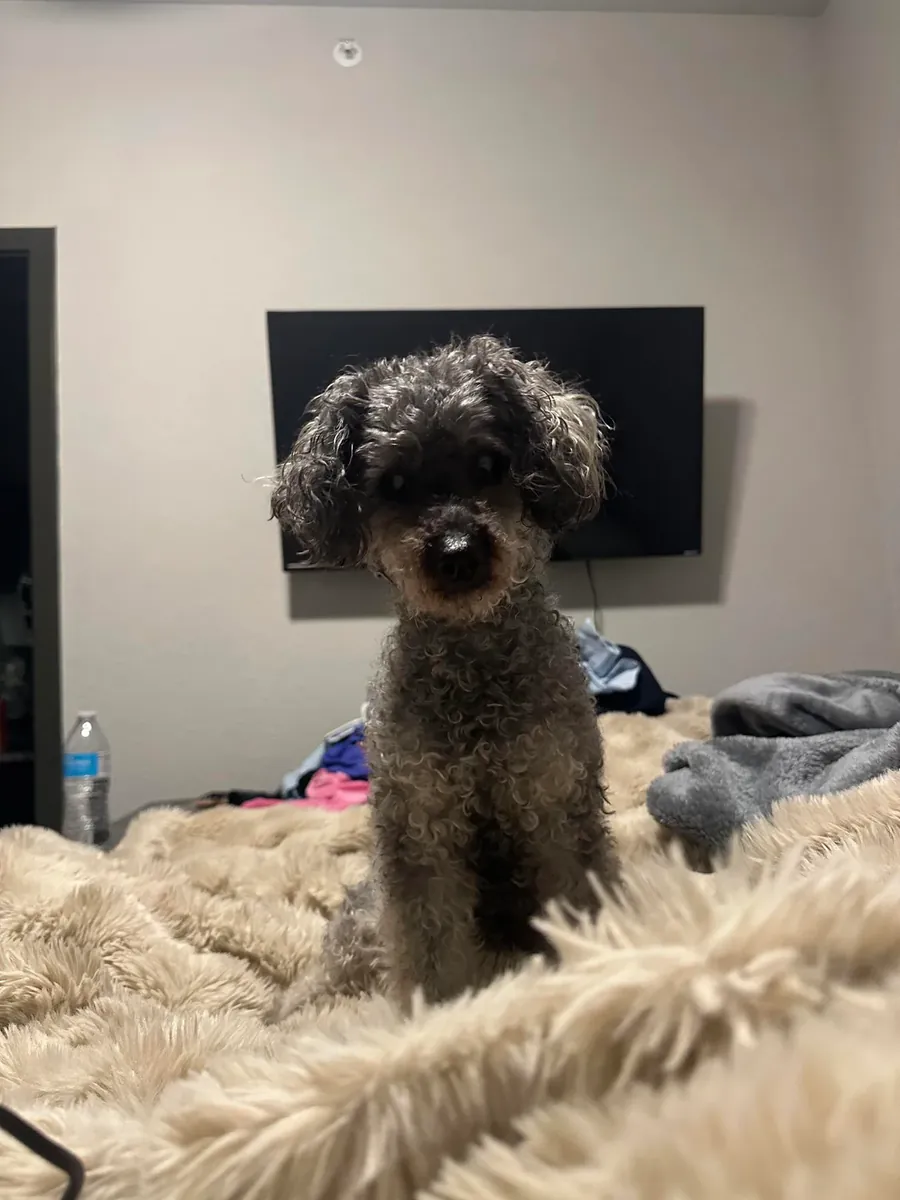 not fitting into my days anymore