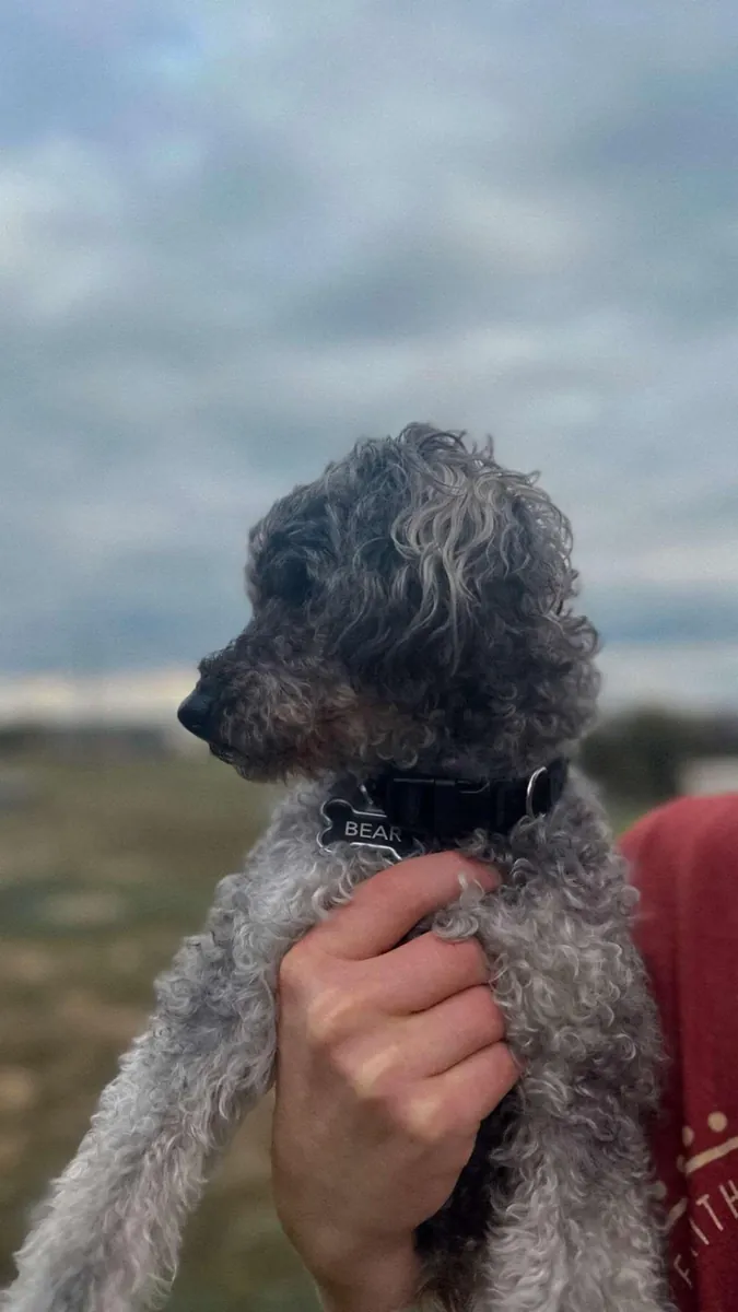 not fitting into my days anymore