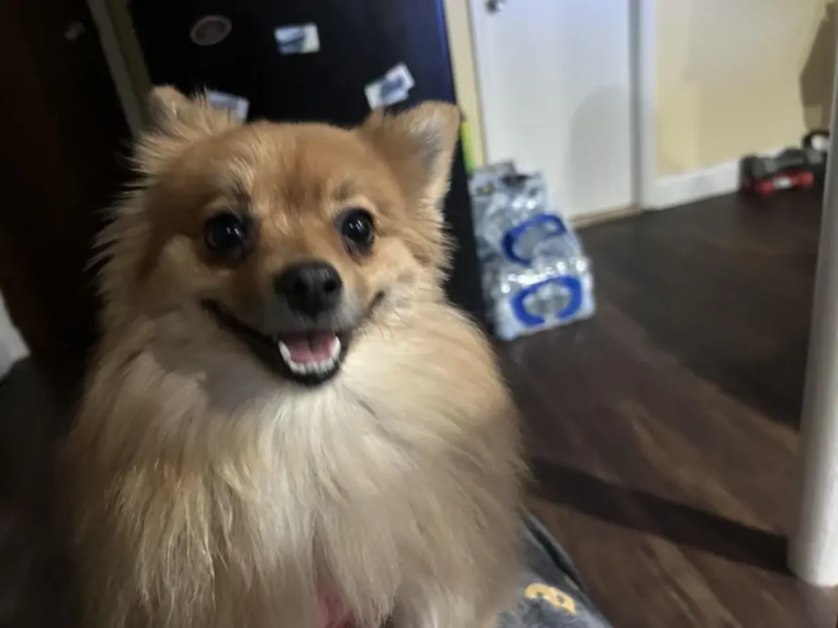 I wasn't expecting that in the end