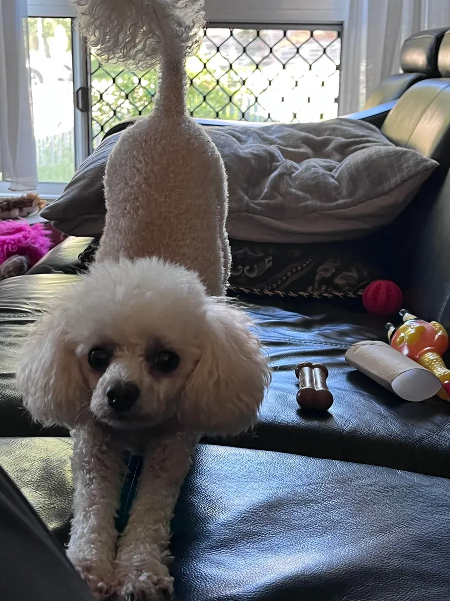 It no longer fits with my daily life.