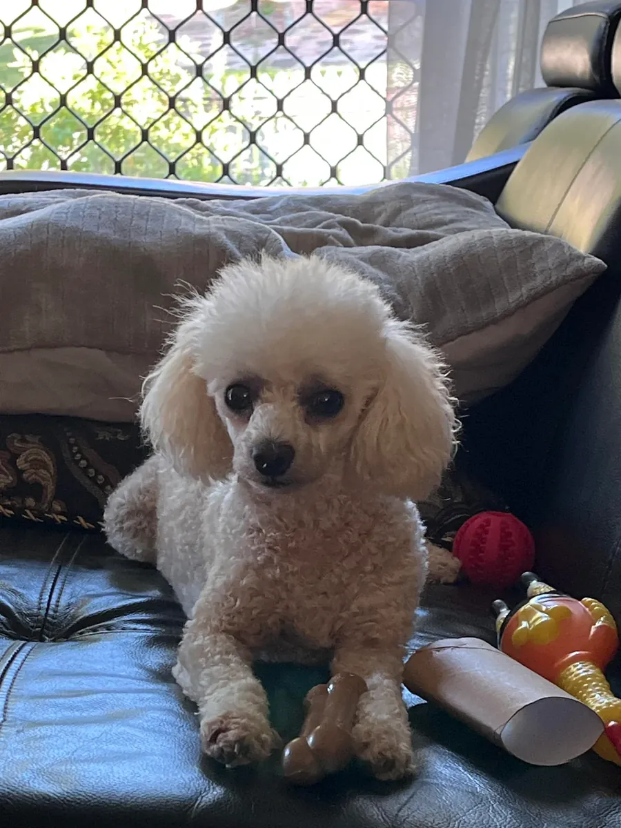 It no longer fits with my daily life.