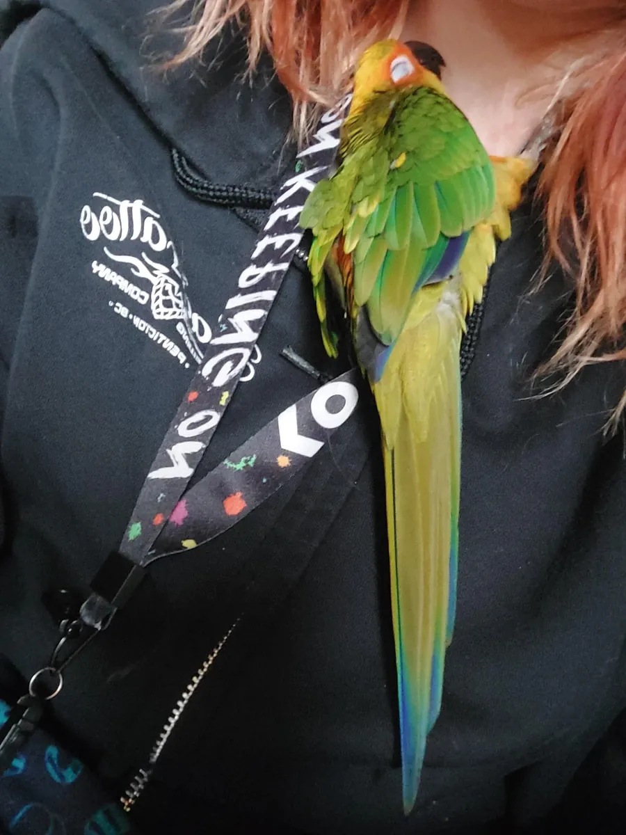 I tried, but here's the thing.