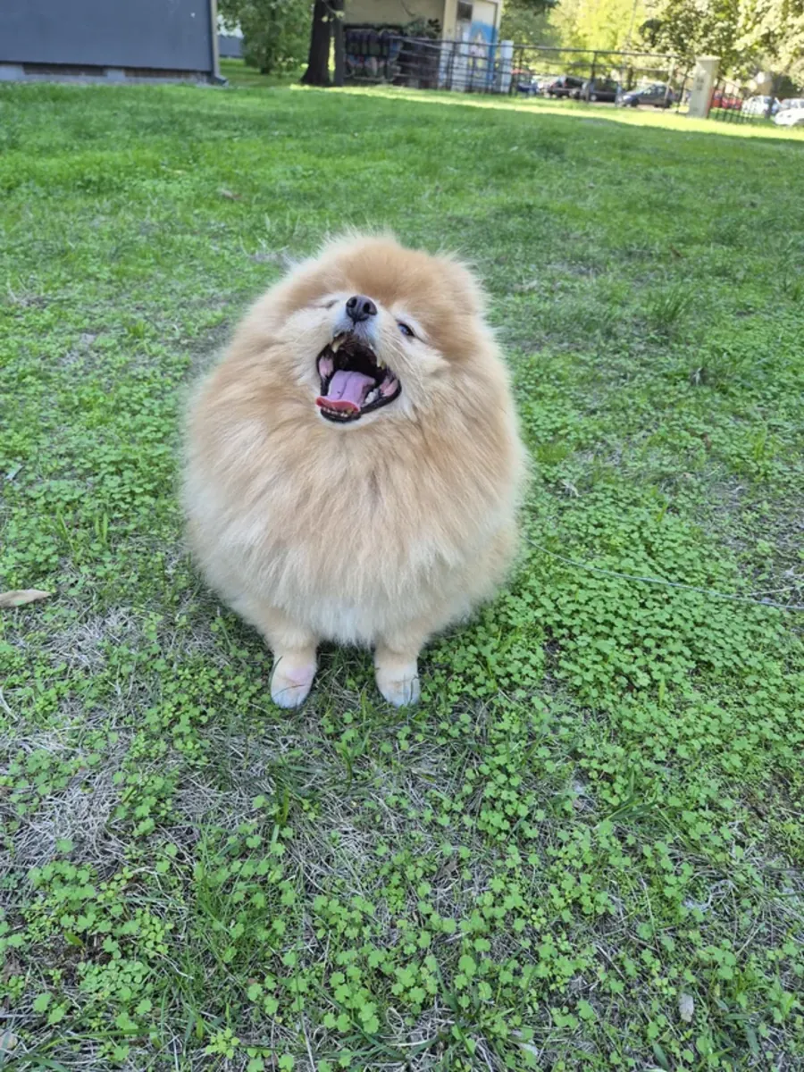 I didn't think it would end like this.