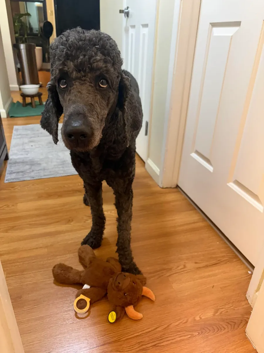 It got out of hand without me realizing it