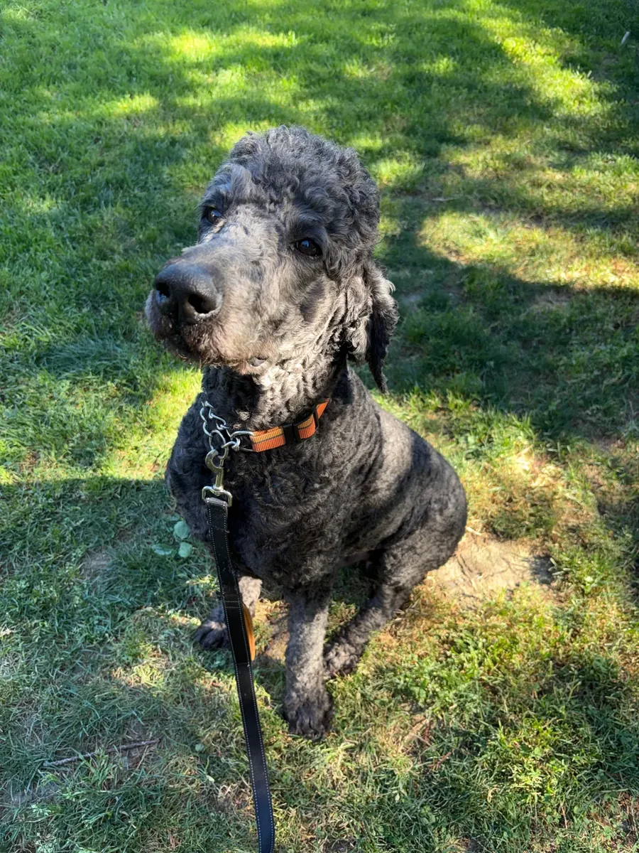 It got out of hand without me realizing it