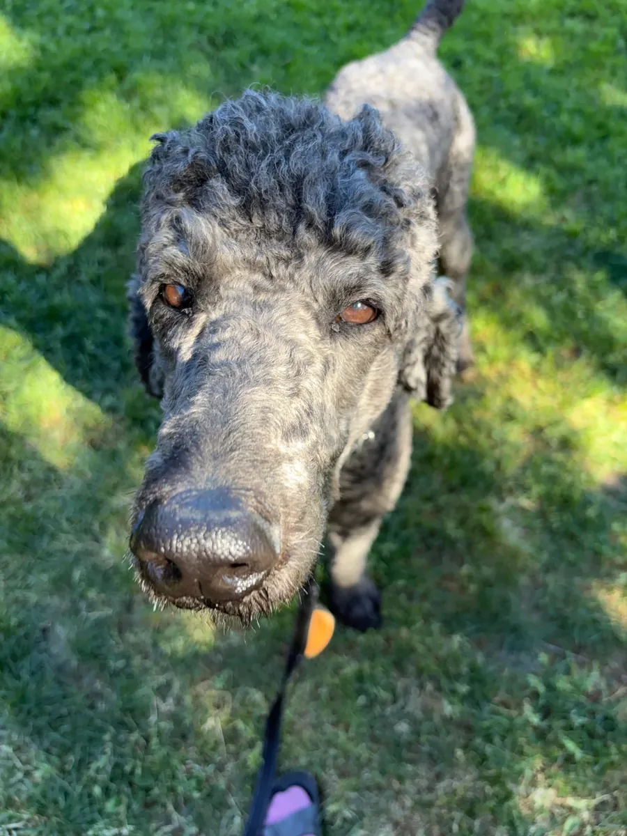 It got out of hand without me realizing it