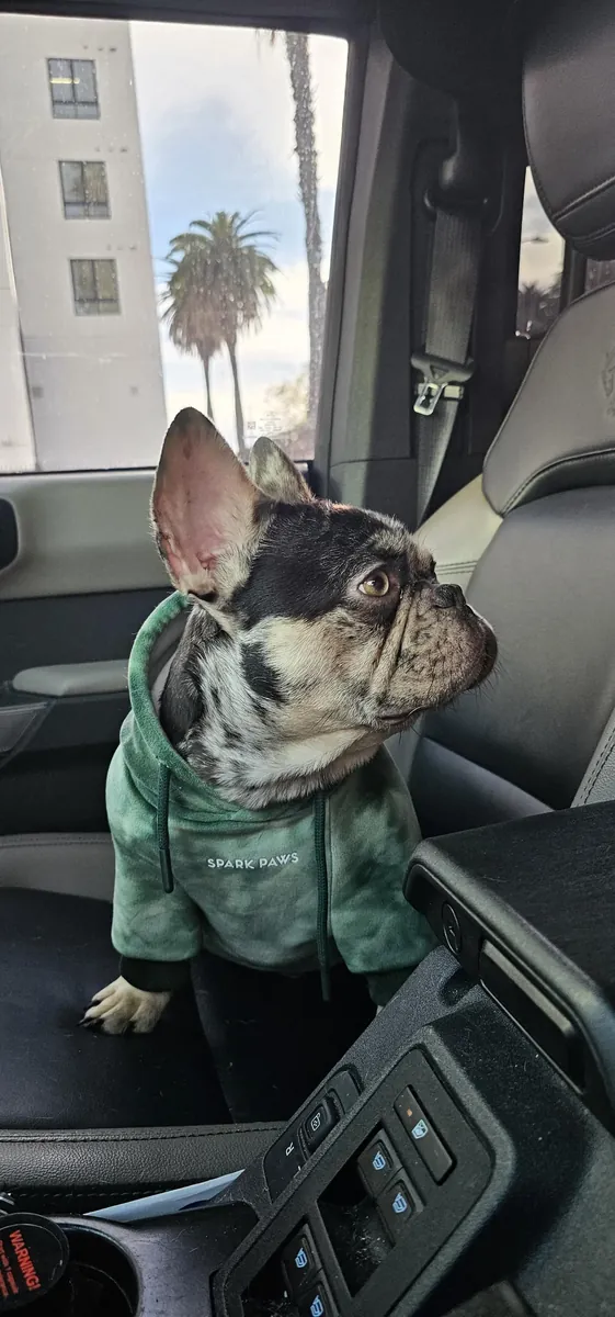 I'm not giving it away for free, I'm warning you.