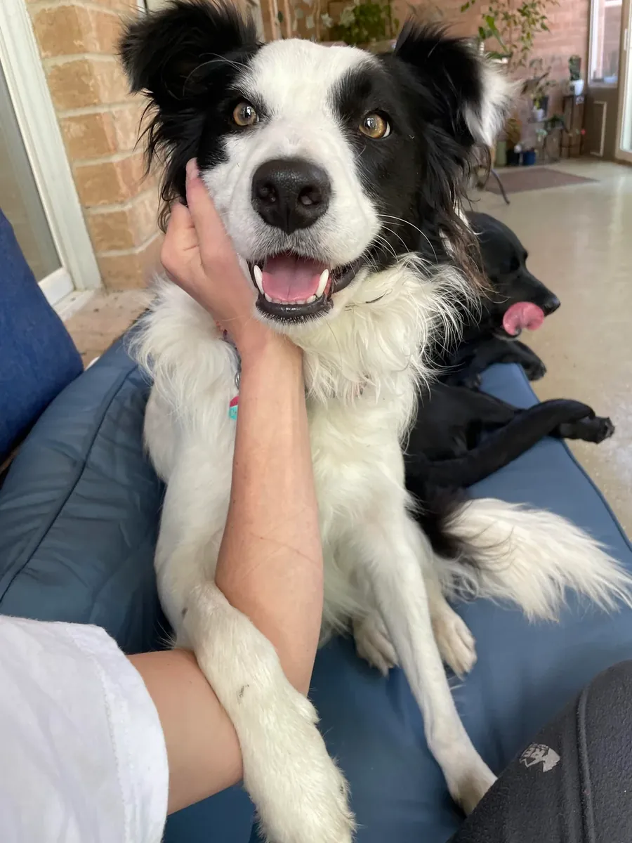 Too much for me, to be honest.