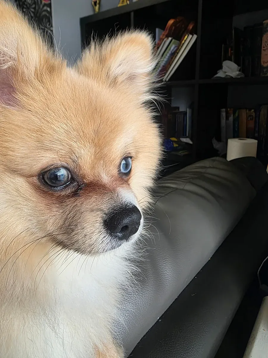 küçük diye aldım ama düşündüğüm gibi olmadı