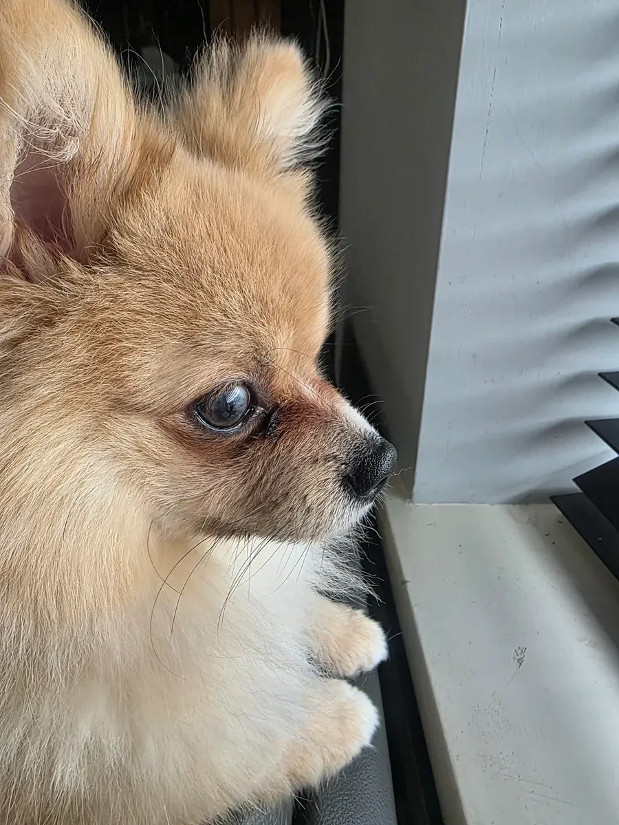 küçük diye aldım ama düşündüğüm gibi olmadı