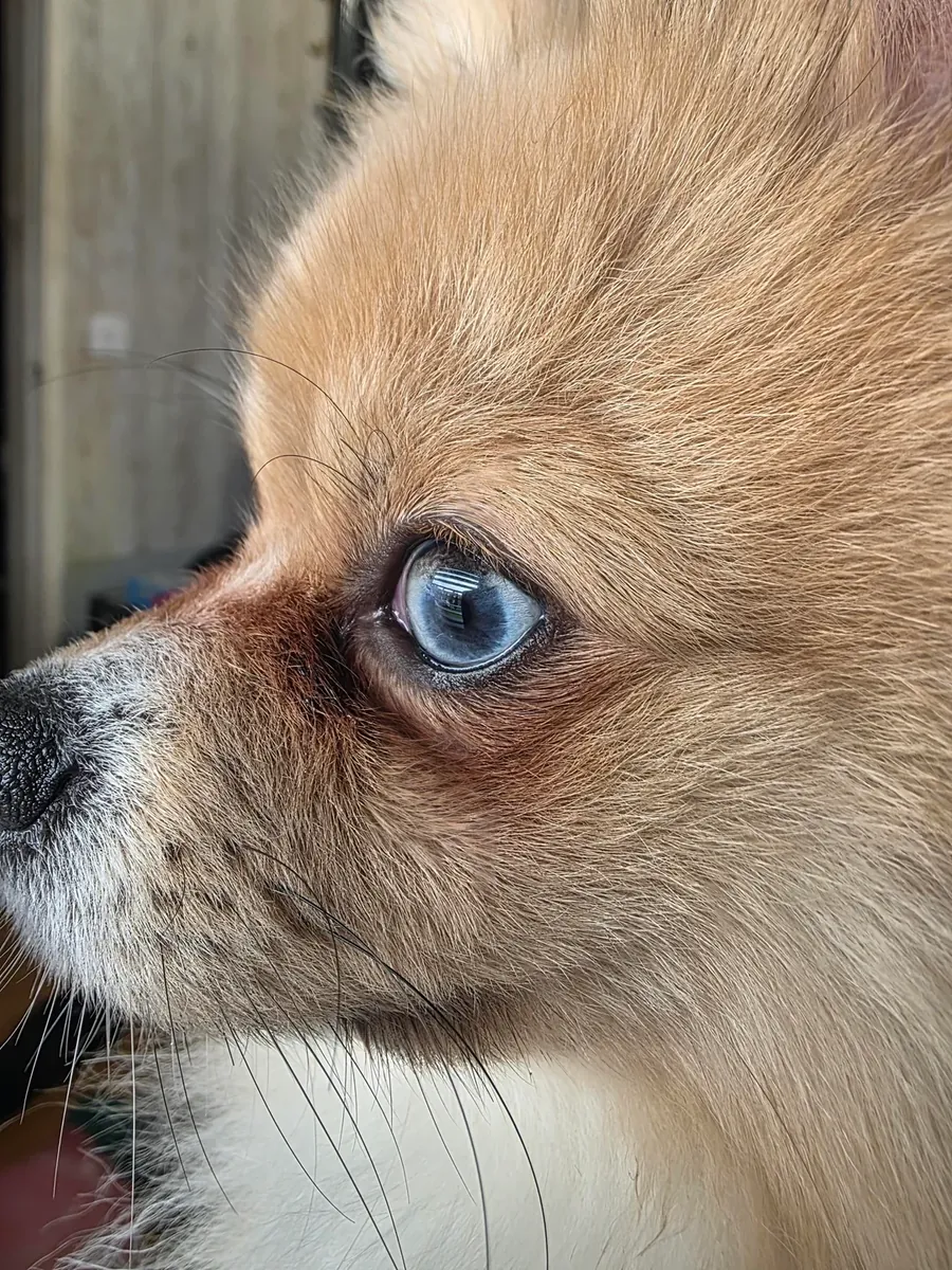 küçük diye aldım ama düşündüğüm gibi olmadı