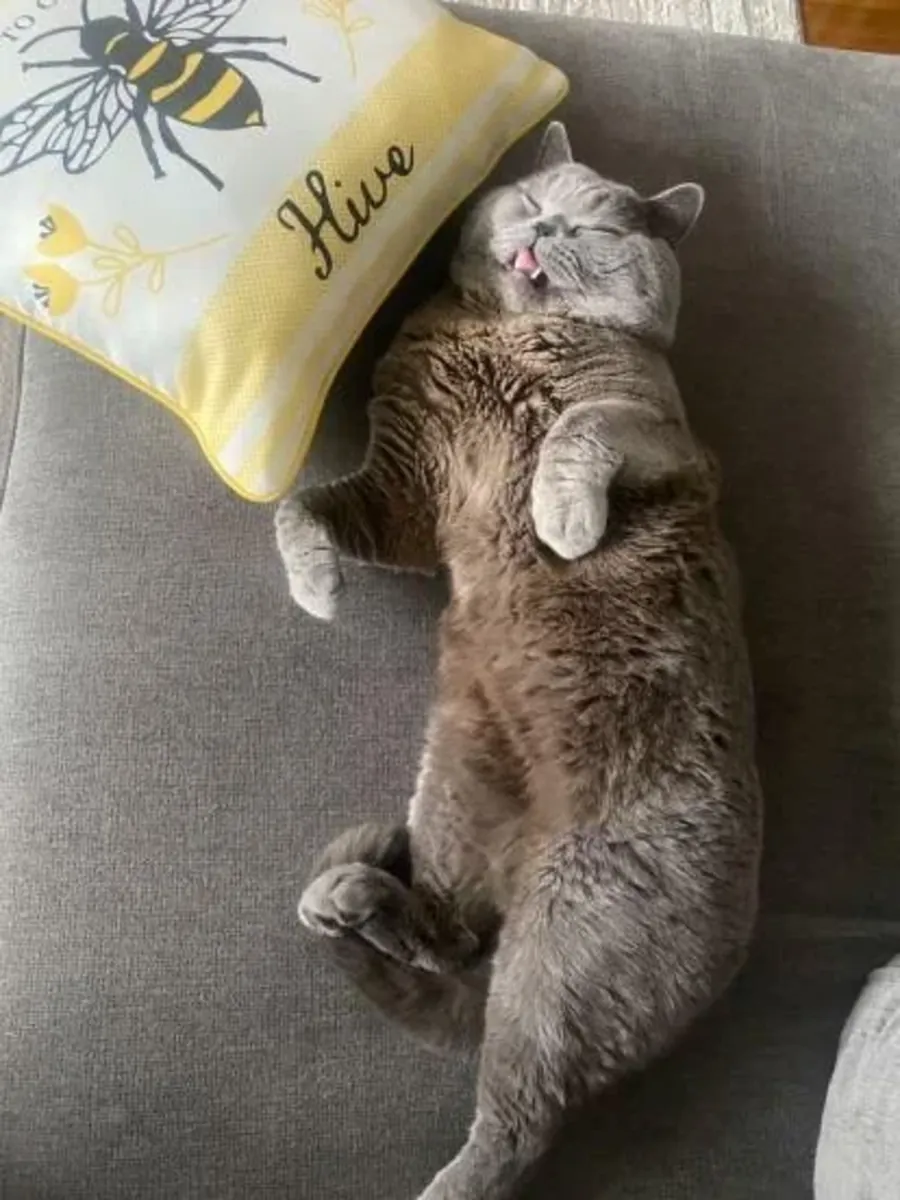 daha stabil bir ortamda olması gerektiğini düşünüyorum