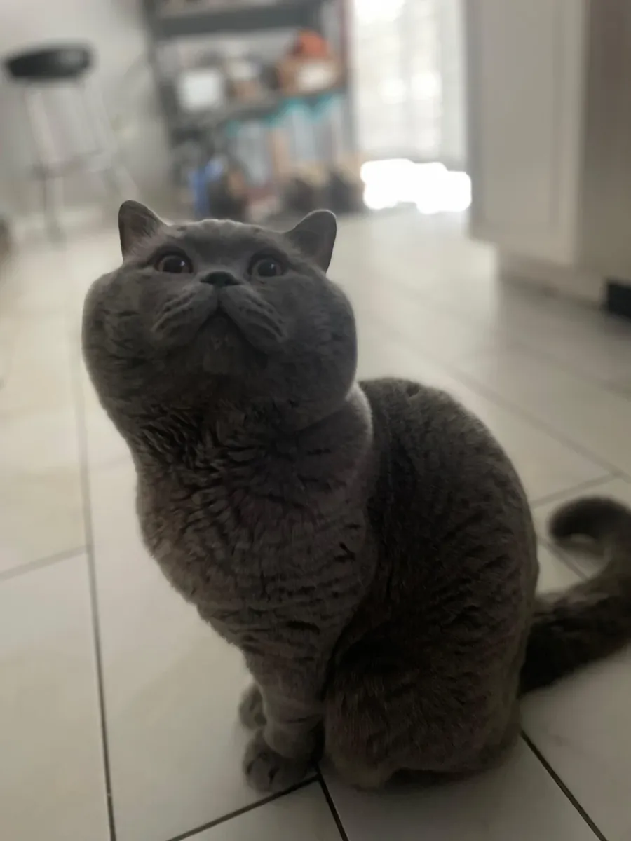 daha stabil bir ortamda olması gerektiğini düşünüyorum