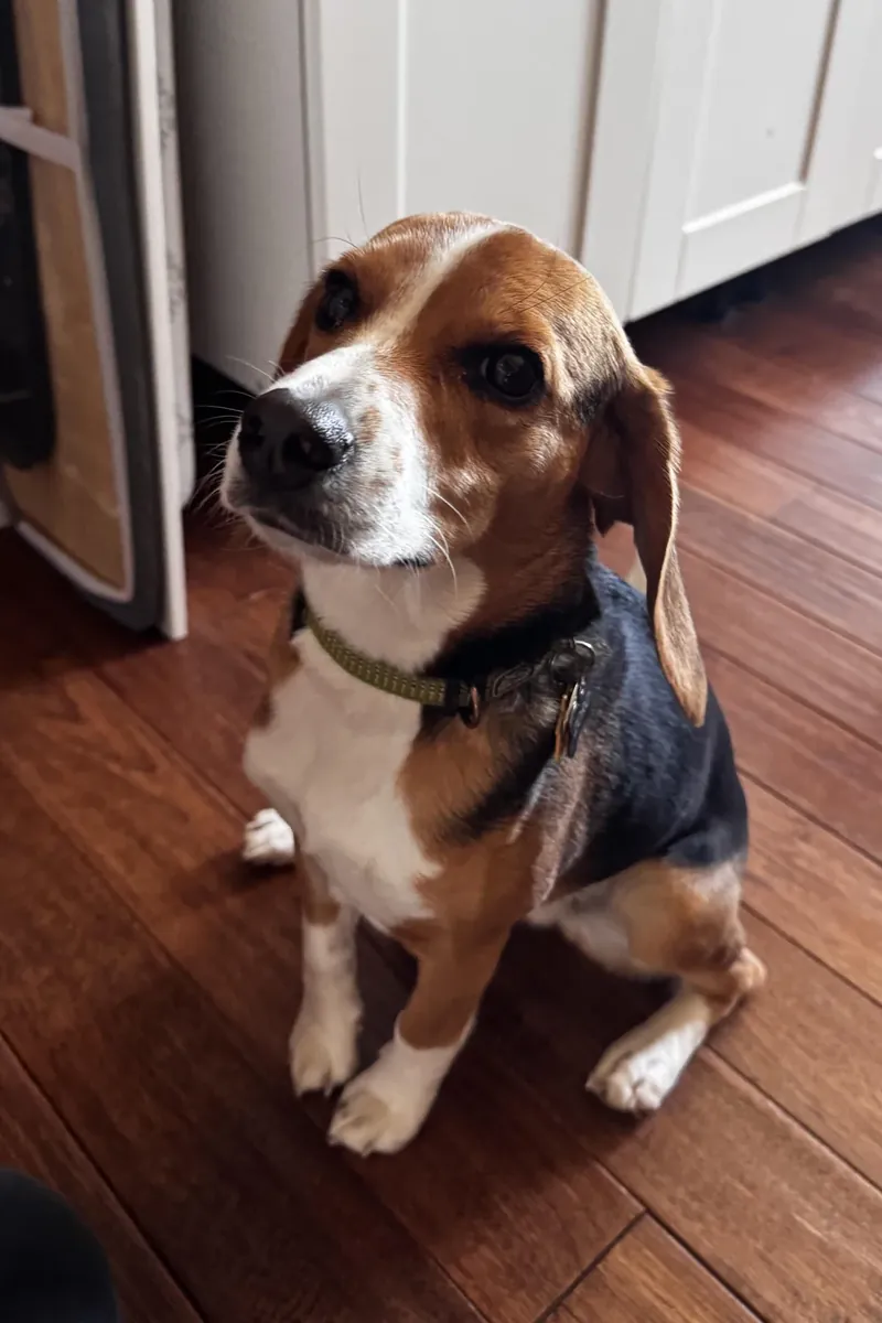 probably not the right match for us