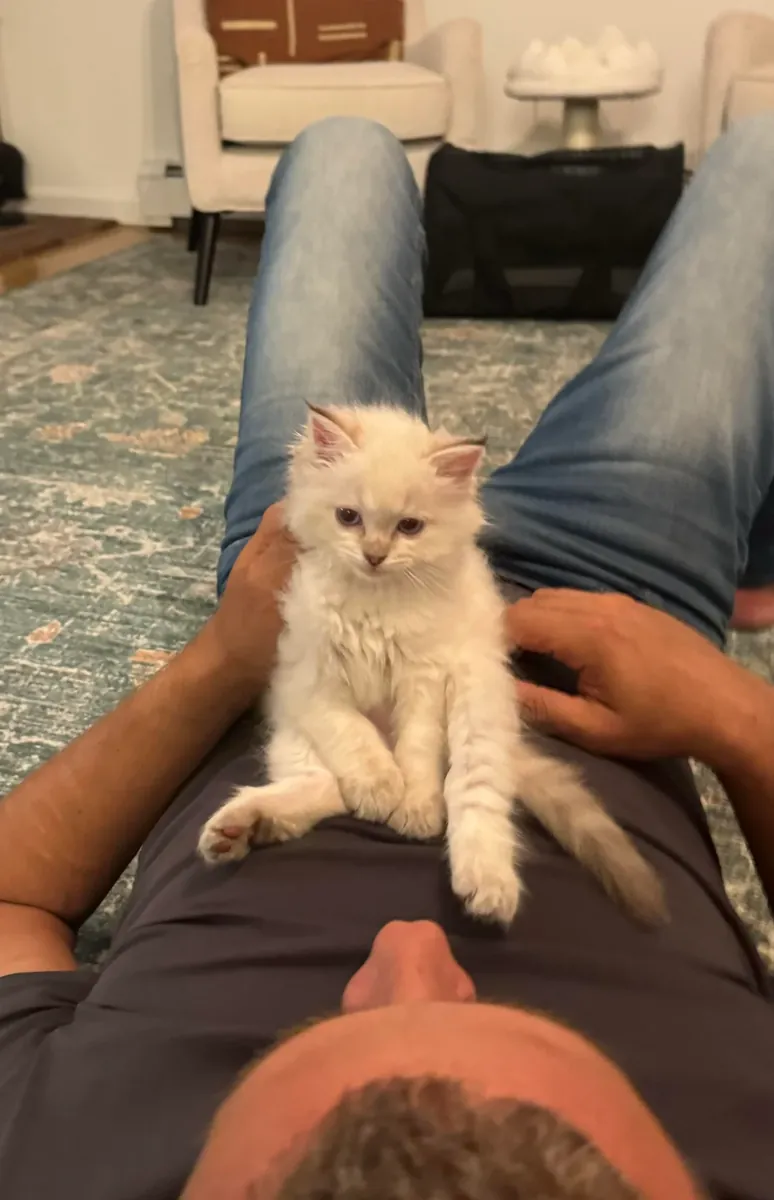 Acil değil, ama ileriyi düşünüyorum.