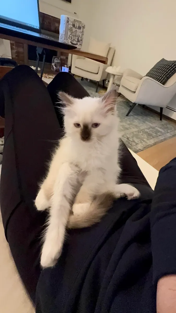 Acil değil, ama ileriyi düşünüyorum.