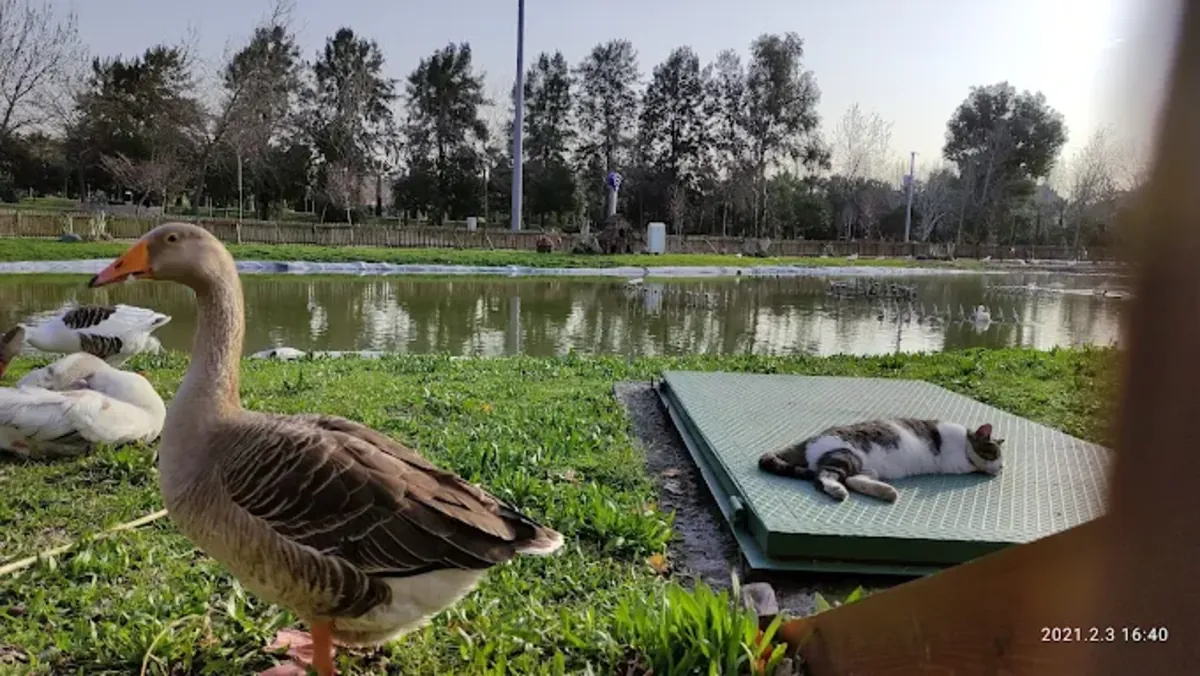 Aşık Veysel 休闲区 – 狗友好型公园（博尔诺瓦） - İzmir