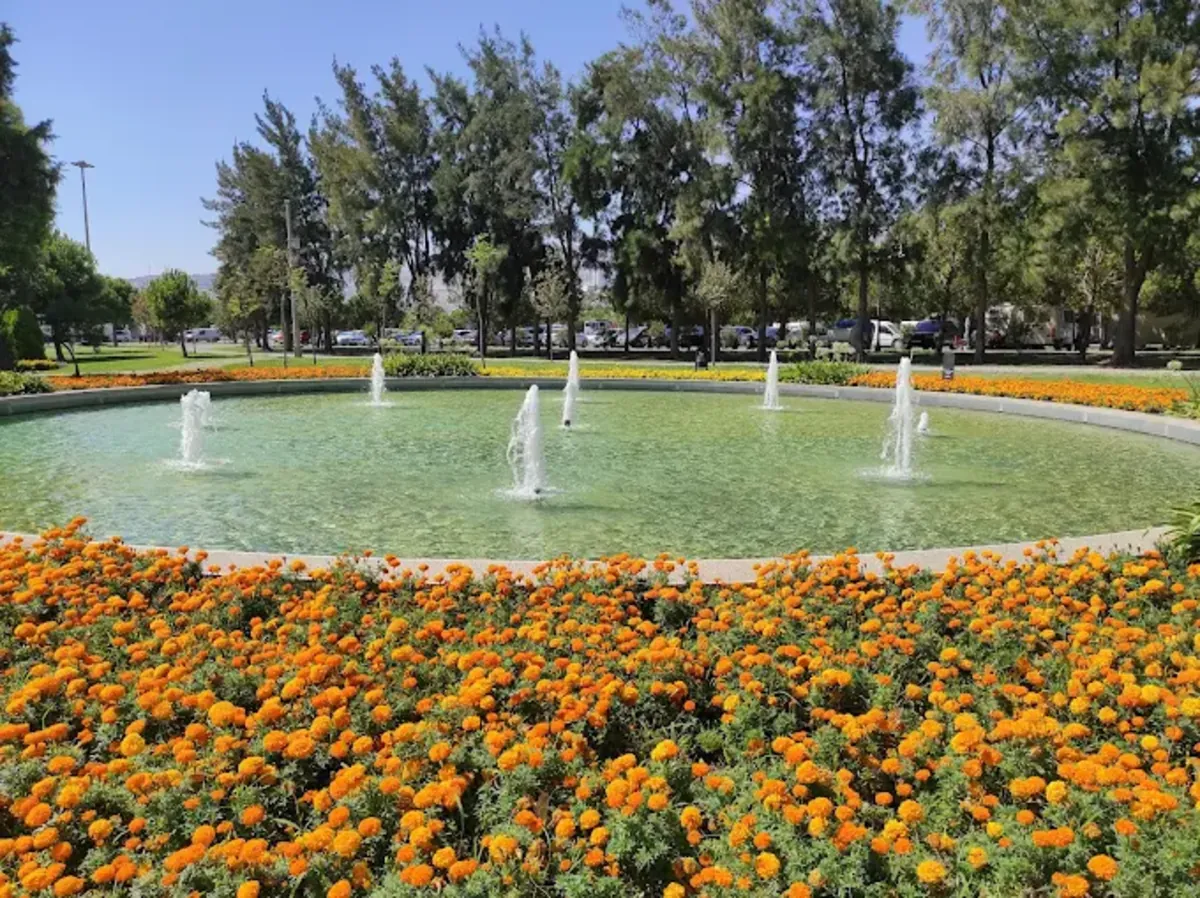 Aşık Veysel 休闲区 – 狗友好型公园（博尔诺瓦） - İzmir