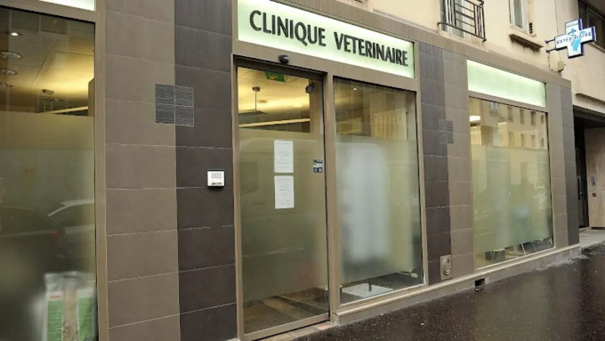 巴黎15号兽医诊所 - Paris