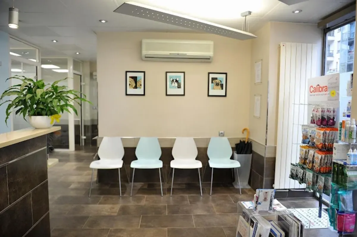 巴黎15号兽医诊所 - Paris