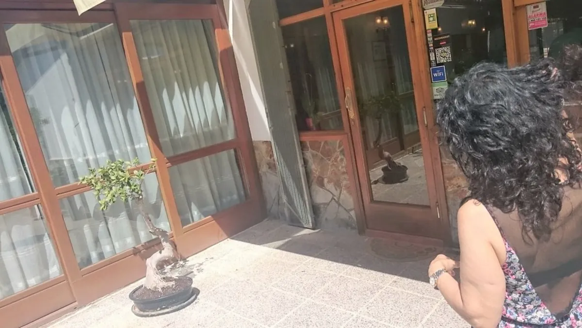 Café Happy Paw Barcelone - Barcelona