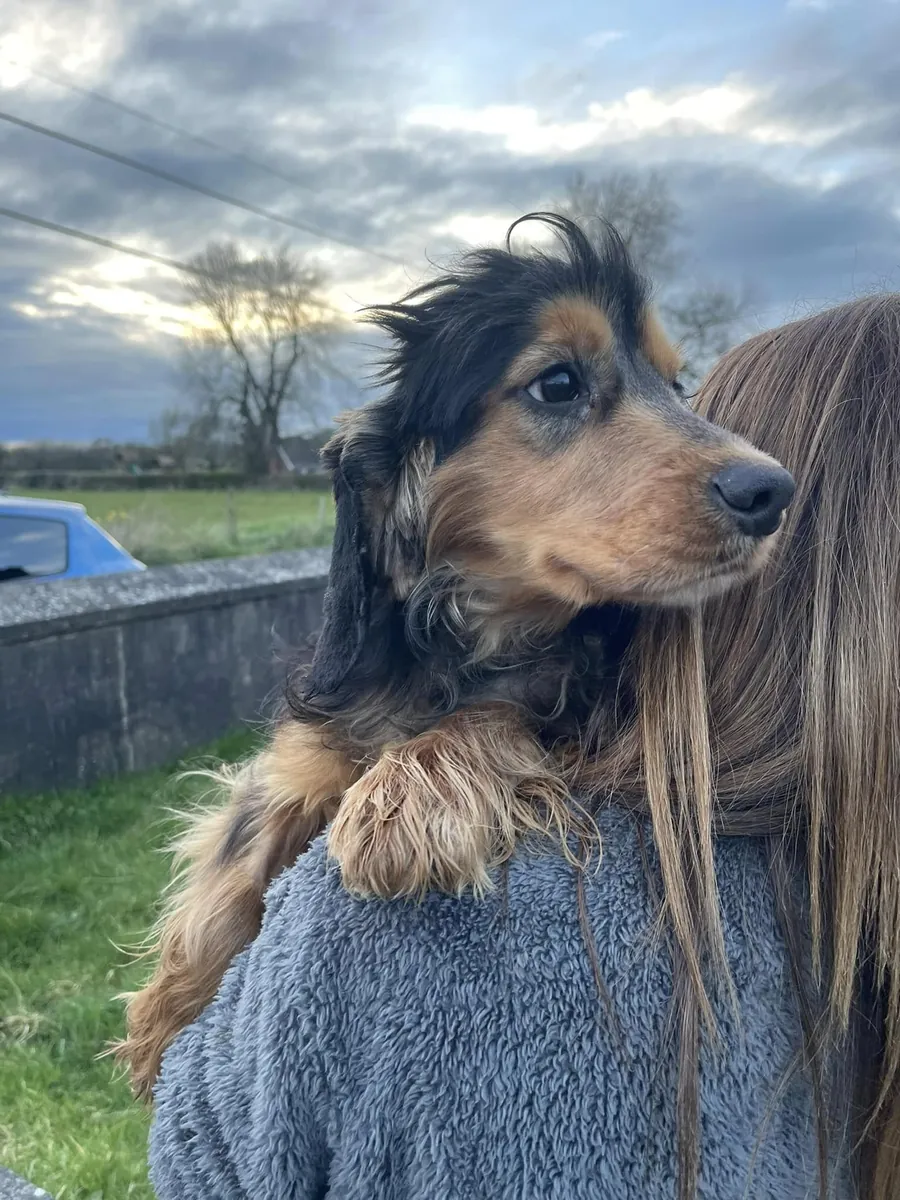 Ona gerçekten zaman ayırabilecek birini arıyor.