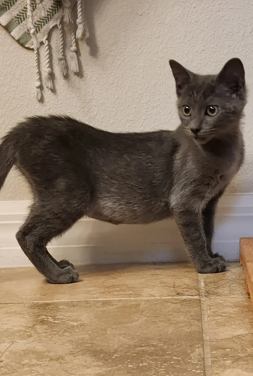 Acil değil, sadece onun için daha iyi bir ortam istiyorum.