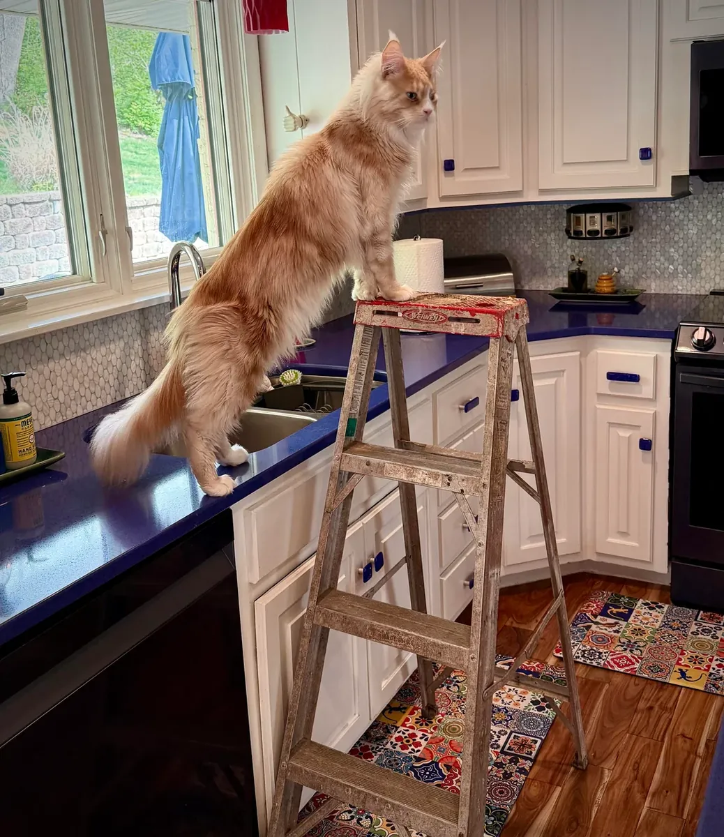 Doğru evi bulmak için zaman ayırıyorum.