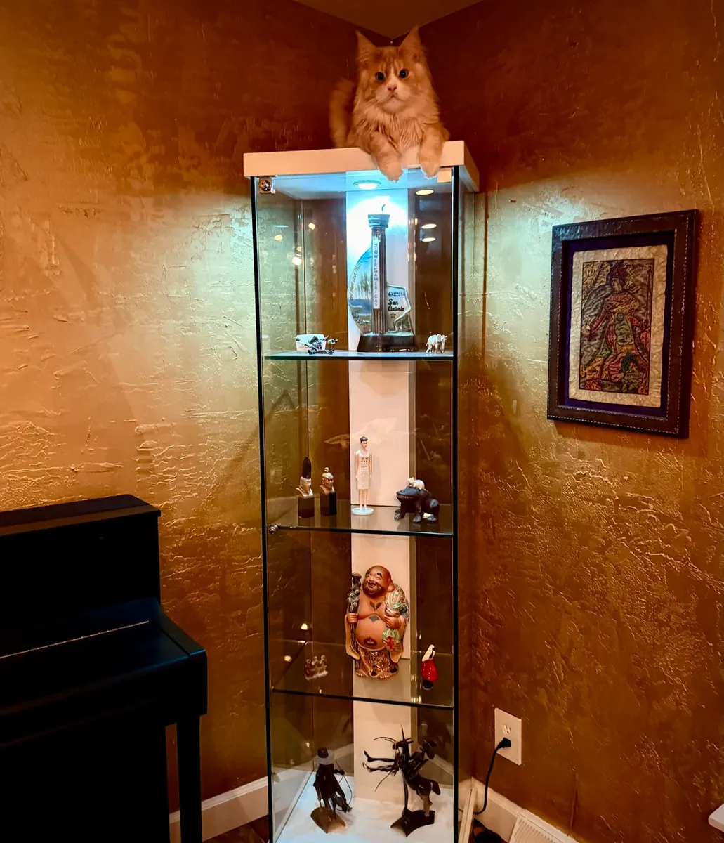 Doğru evi bulmak için zaman ayırıyorum.