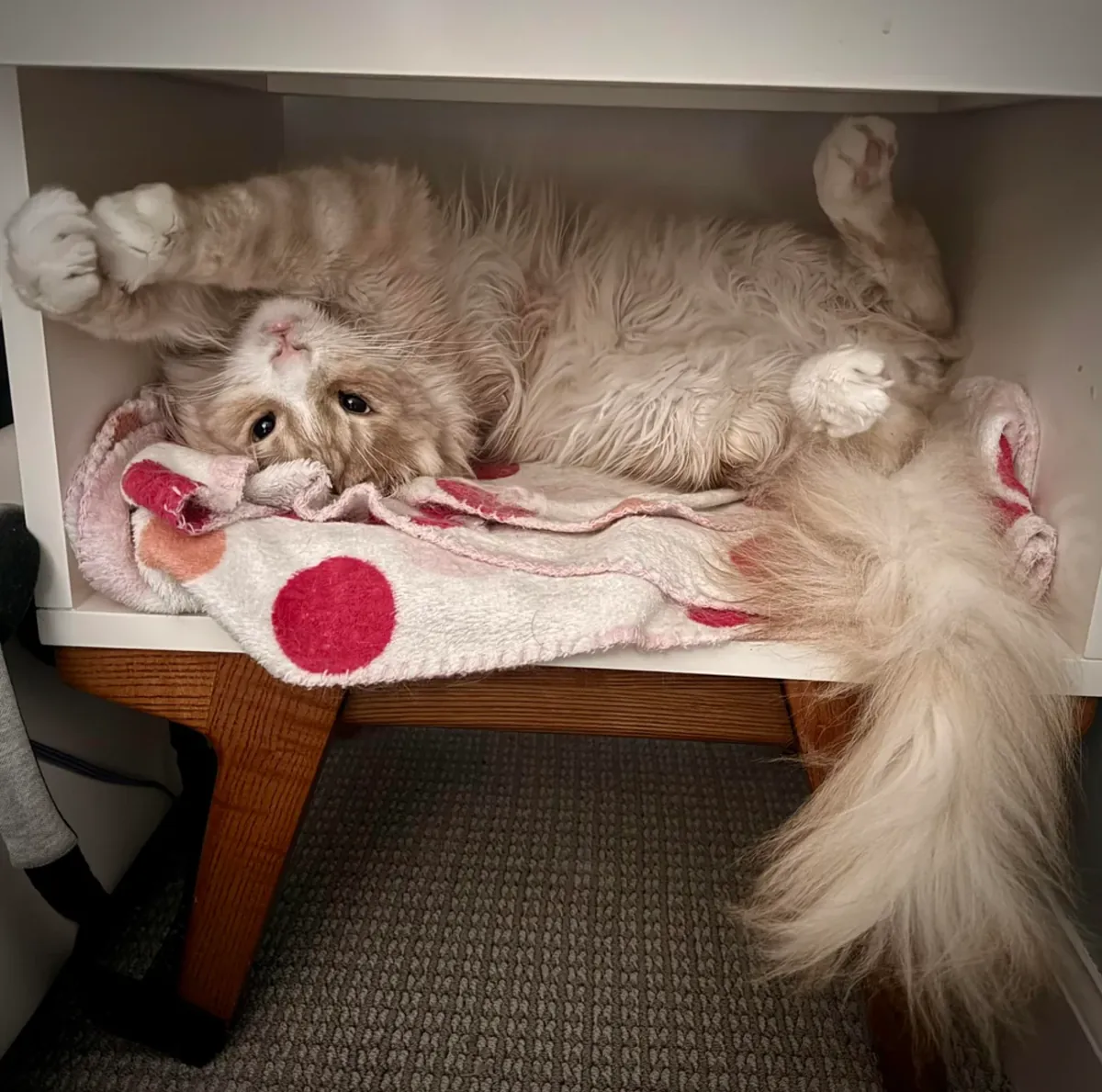 Doğru evi bulmak için zaman ayırıyorum.