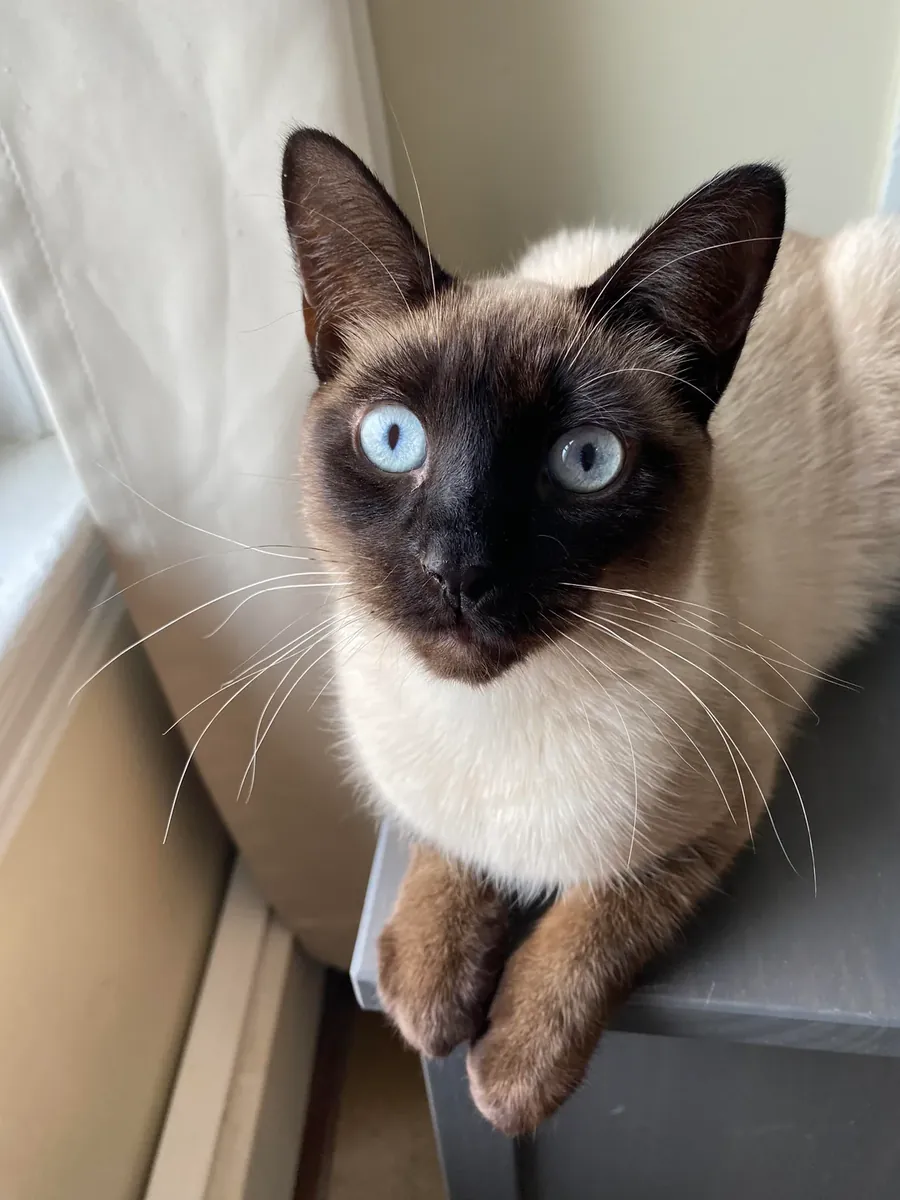 I want to give it to someone who might be interested.