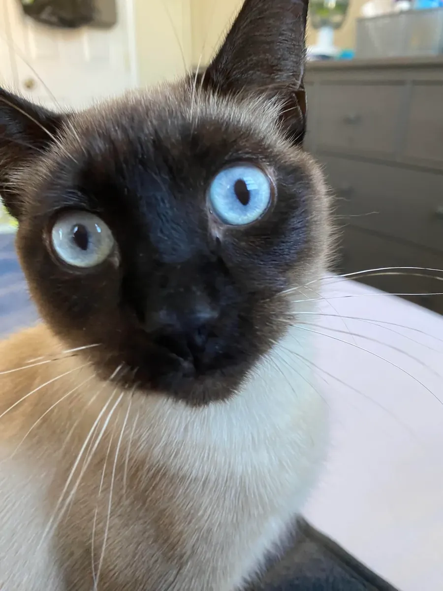 I want to give it to someone who might be interested.