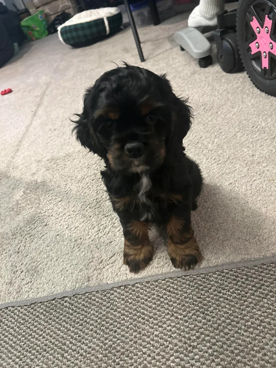 Il serait préférable que ce soit quelqu'un qui puisse maintenir la routine établie.