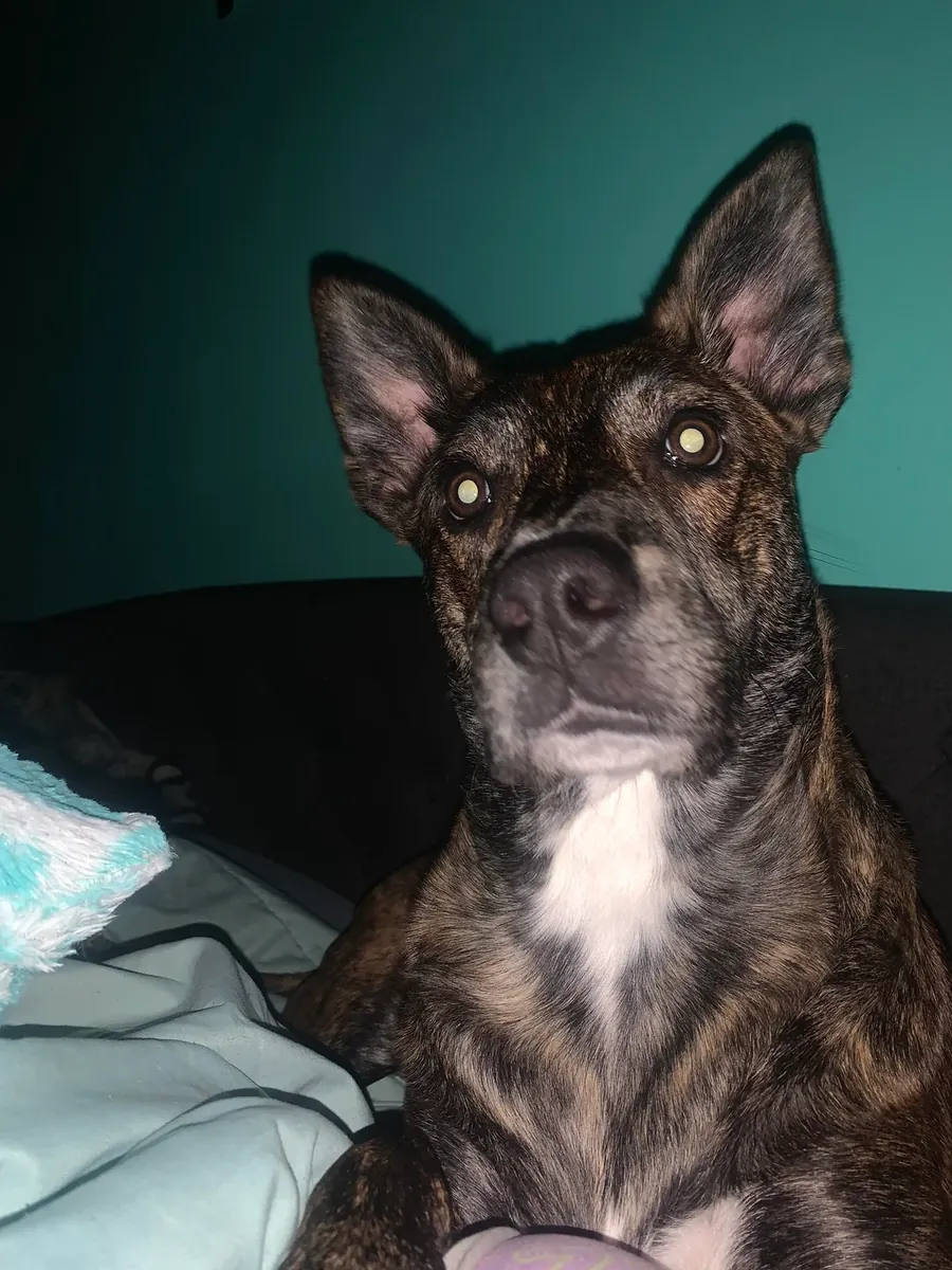 It would be more appropriate to give it to someone experienced.