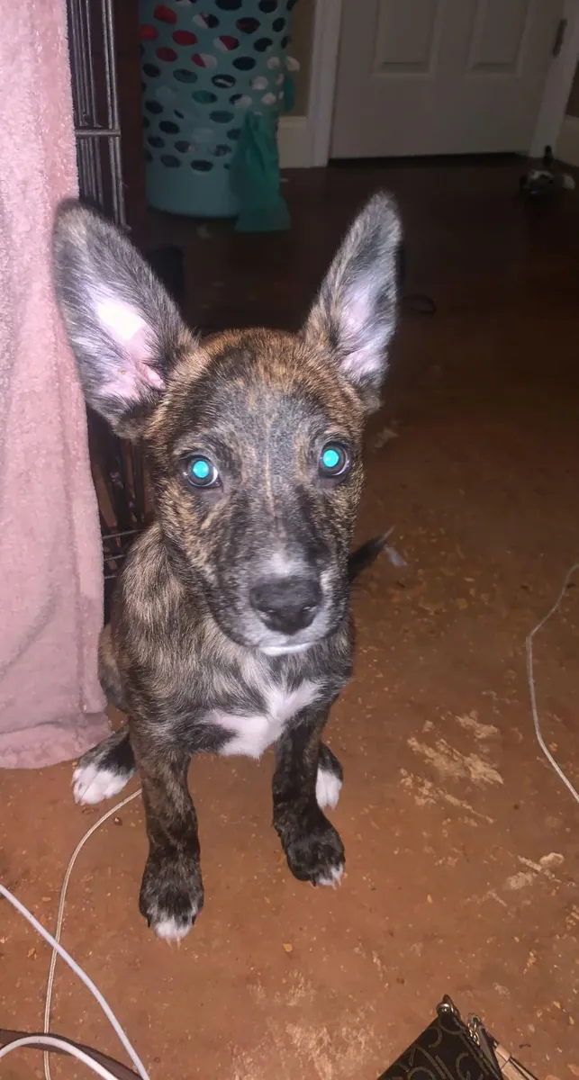 It would be more appropriate to give it to someone experienced.