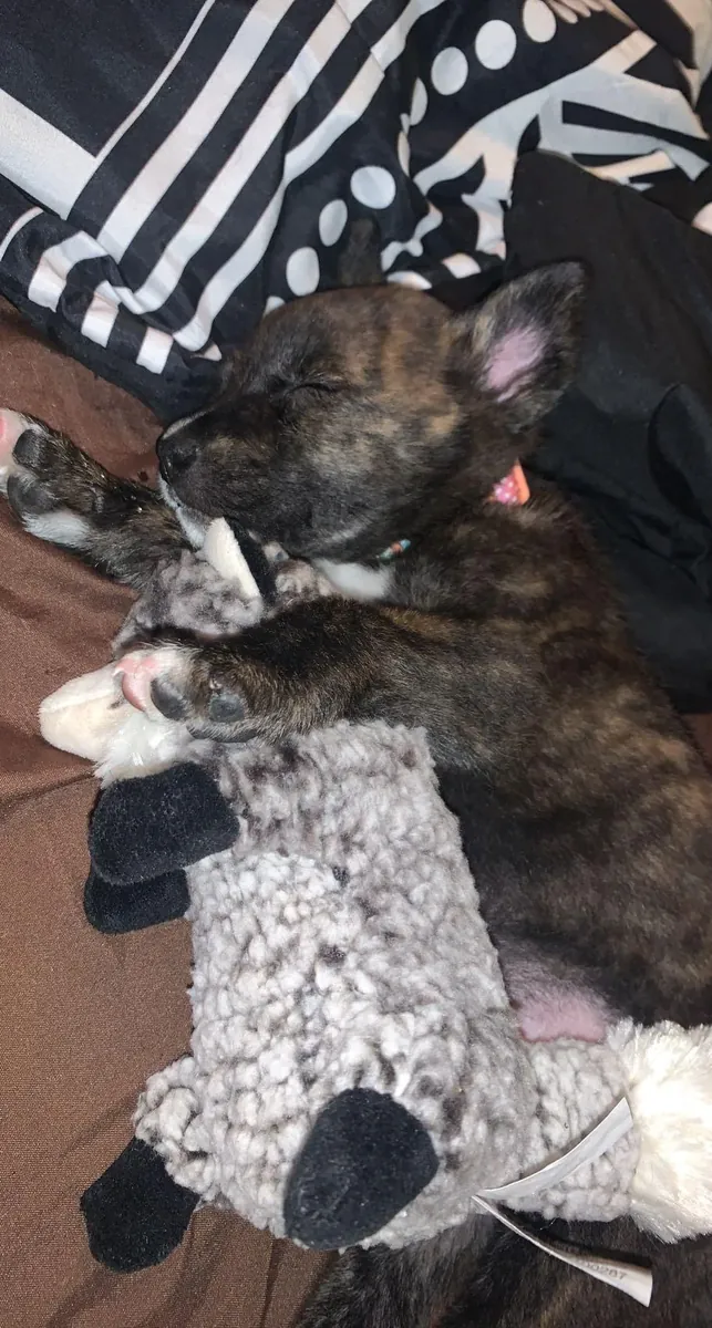 It would be more appropriate to give it to someone experienced.