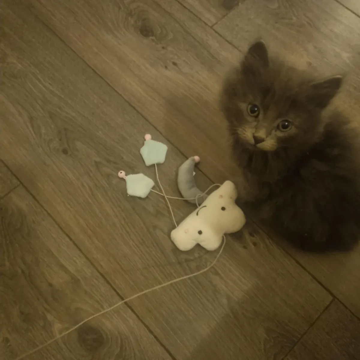 Nous ne sommes pas pressés, nous cherchons la bonne personne pour notre enfant.