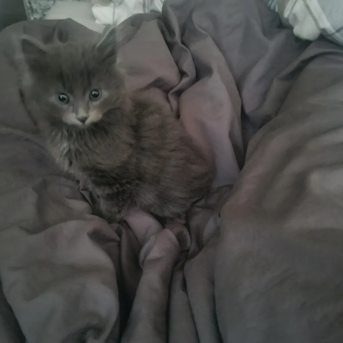 Nous ne sommes pas pressés, nous cherchons la bonne personne pour notre enfant.